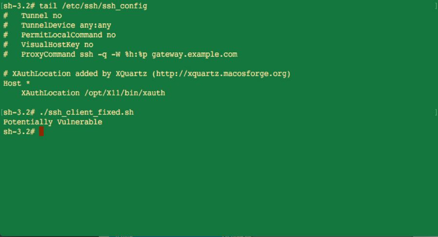 Output del terminale che mostra i risultati della verifica della configurazione SSH e dell'individuazione delle vulnerabilità