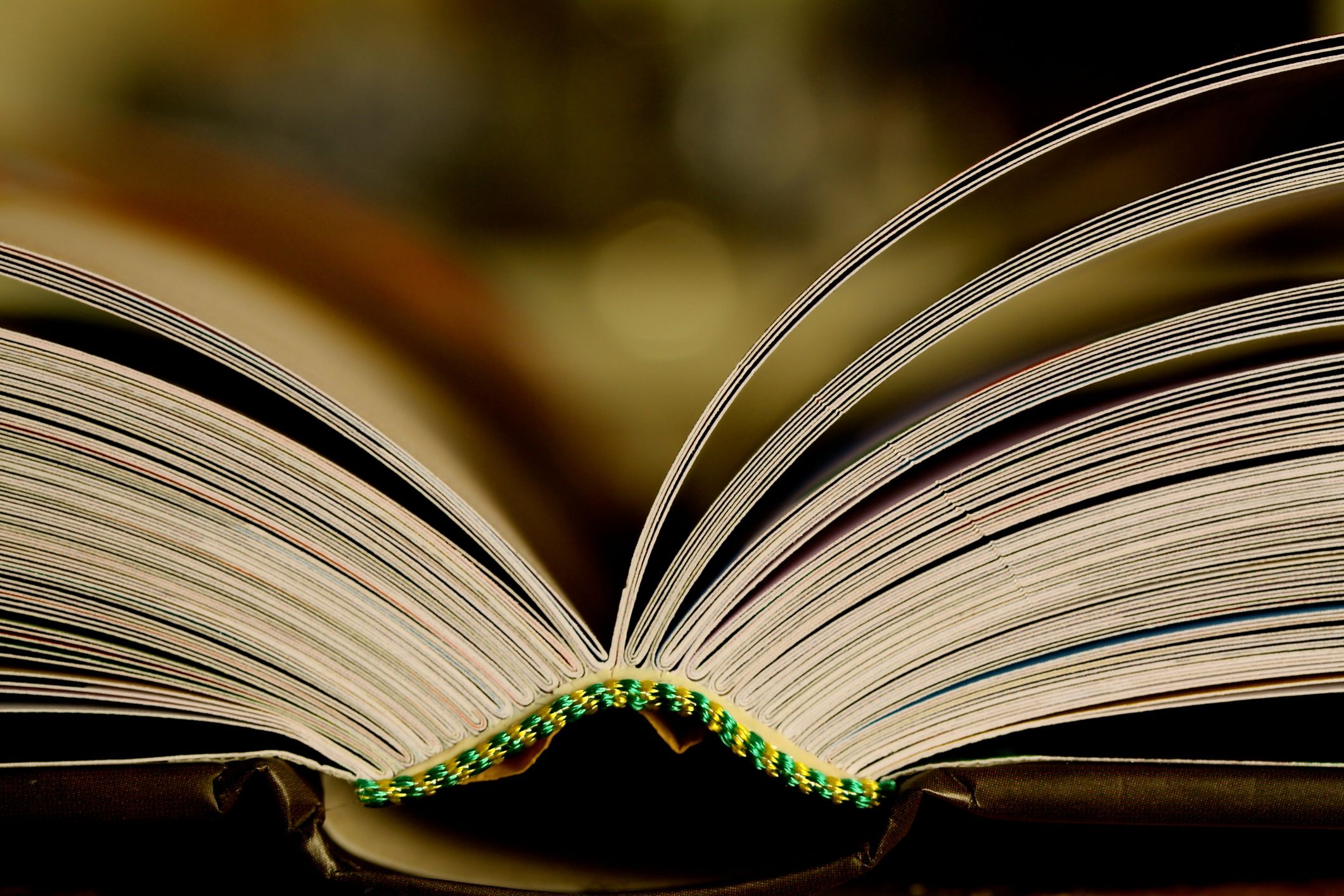 Foto di un libro aperto visto dalla rilegatura in alto e immerso in una luce dorata