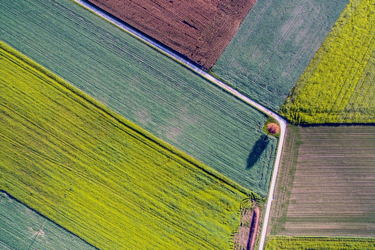 Aerial view of colorful agricultural fields with crop rows