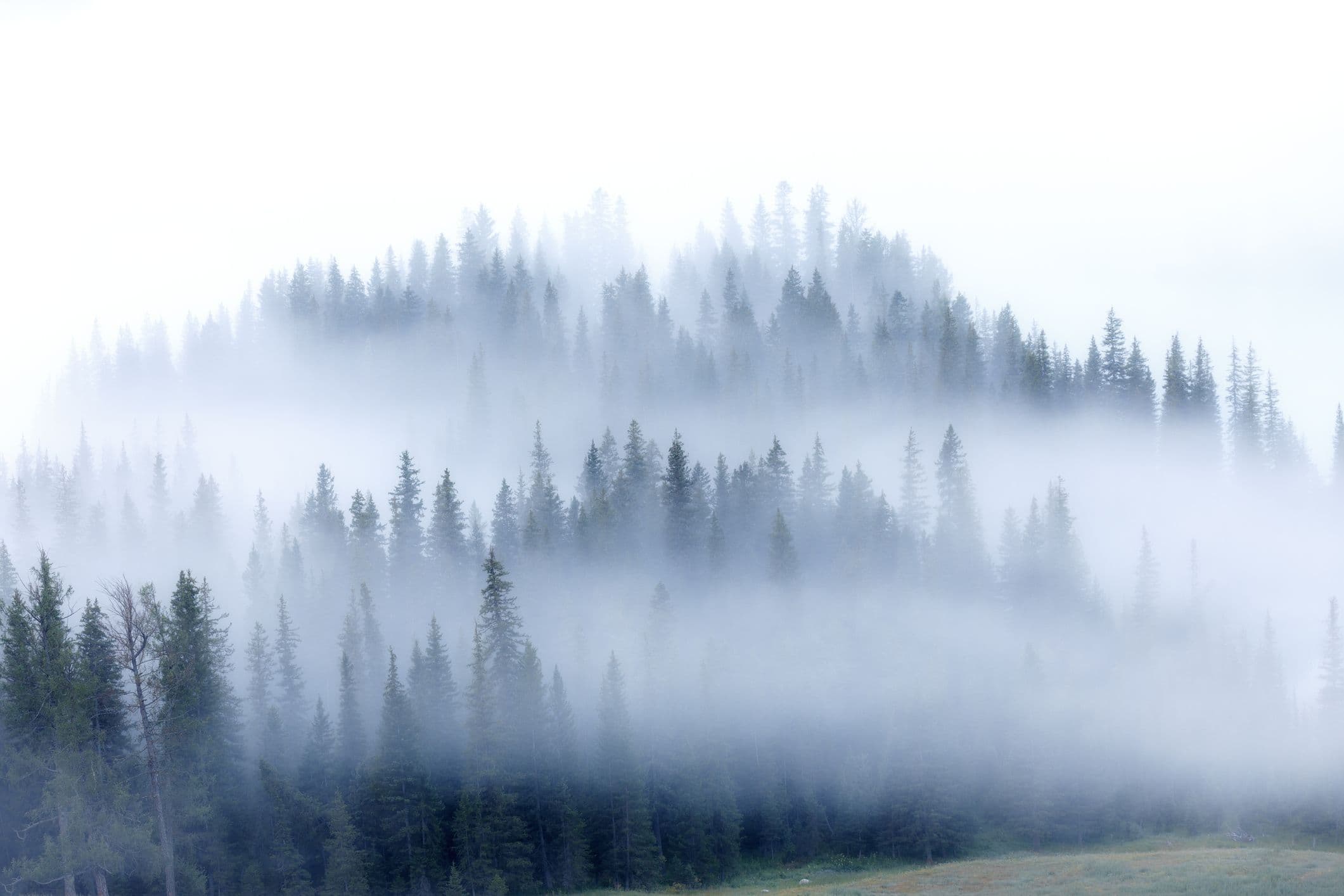 Immagine relativa al post del blog “Ridurre la ‘nebbia di guerra’ migliorando la preparazione in materia di sicurezza informatica”