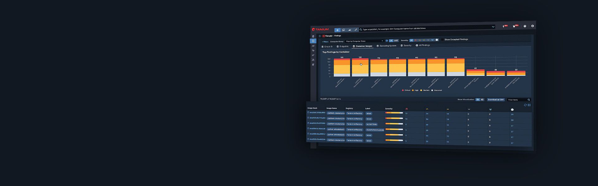Mockup del dashboard hero di Tanium Cloud Workloads con dati sulle vulnerabilità dei container