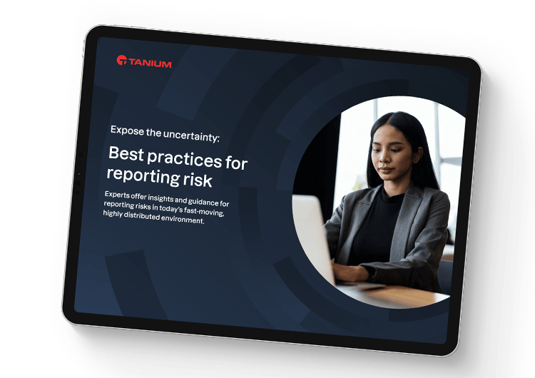 Expose the uncertainty: best practices for reporting risk