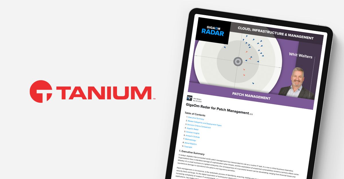 Immagine in evidenza meta: 2024 Report GigaOm sulla gestione delle patch