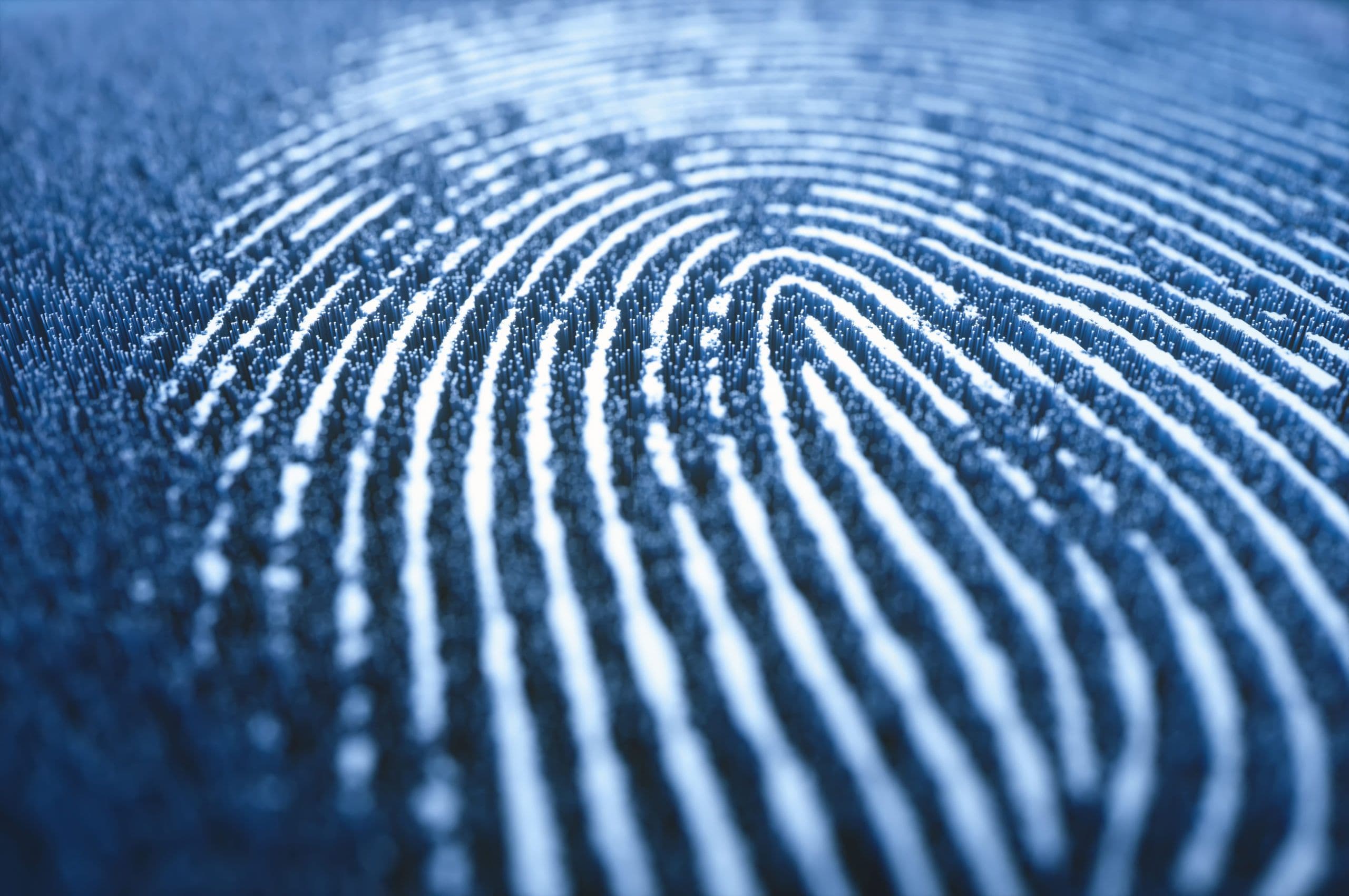 What Is Data Privacy Management?