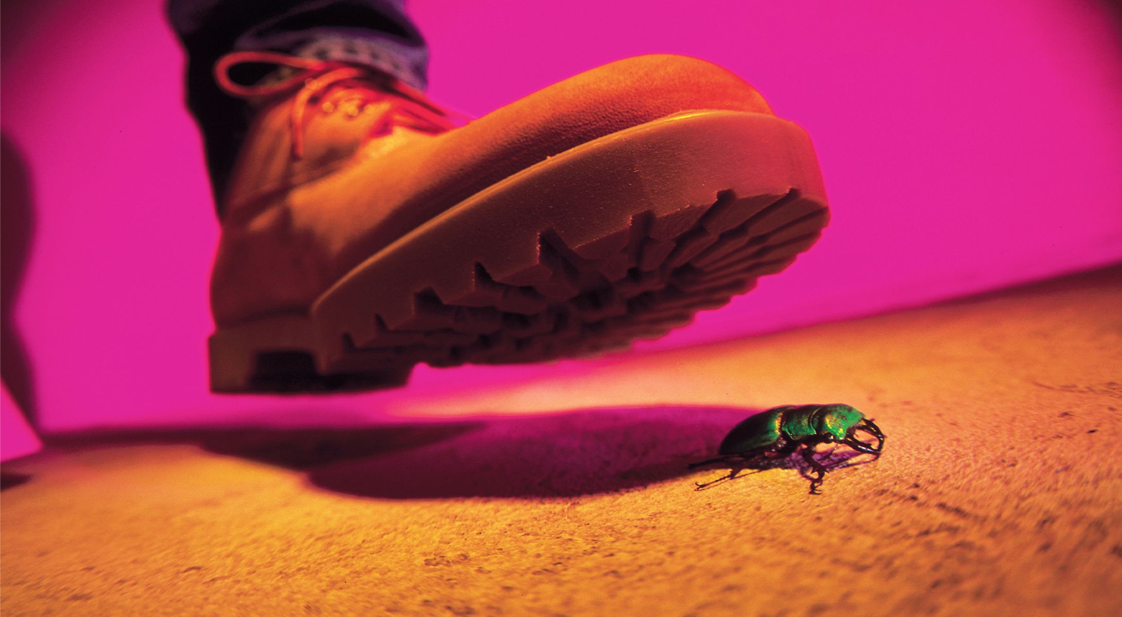 2038 Guida alla sopravvivenza ai bug: lezioni dai problemi del codice dell'anno bisestile